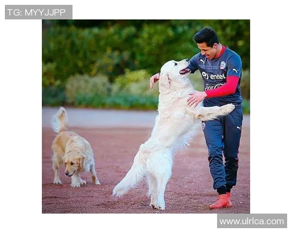 足球明星与爱犬的温馨日常揭秘精彩视频大放送