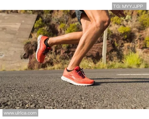 体育明星背后的故事与成就探索全方位揭秘他们的职业生涯与个人生活