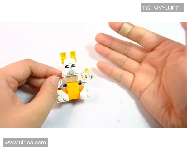 乐高篮球明星整套玩具畅玩体验与创意拼搭指南 乐高篮球明星整套玩具畅玩体验与创意拼搭指南
